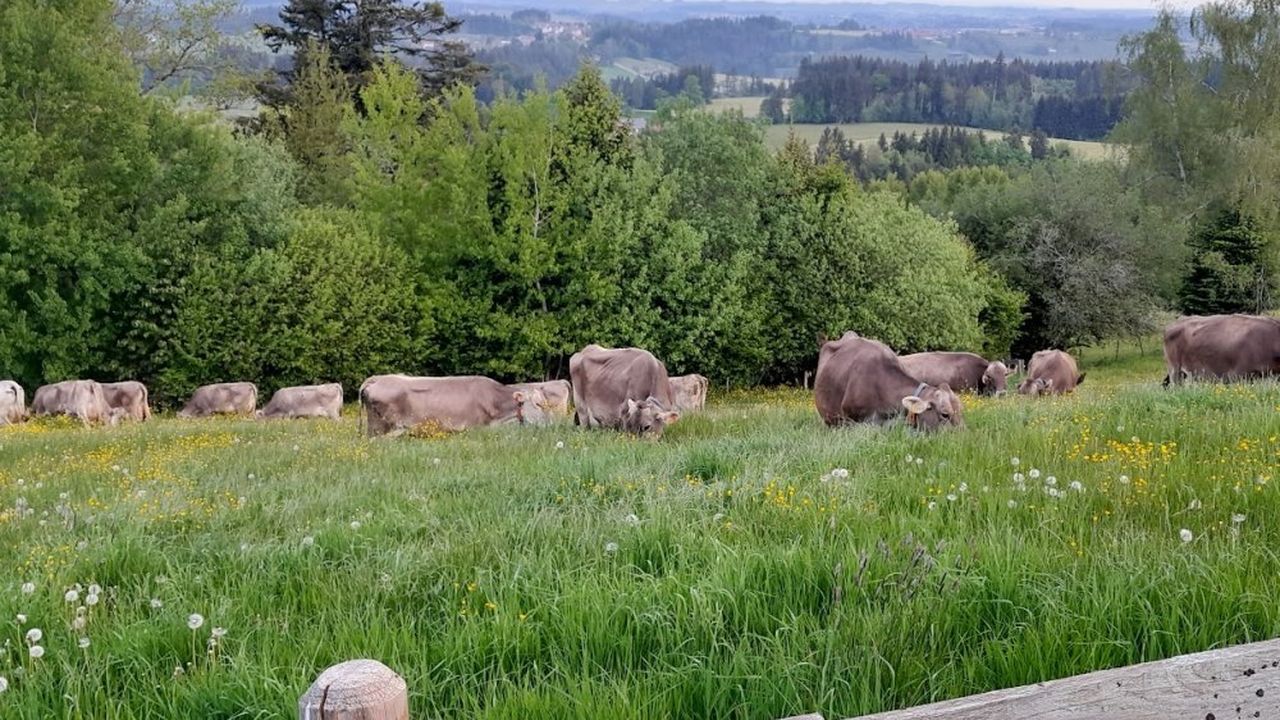 selbstversorger selbstversorger